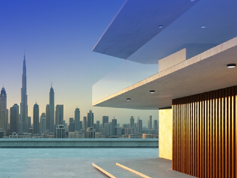 International Real Estate