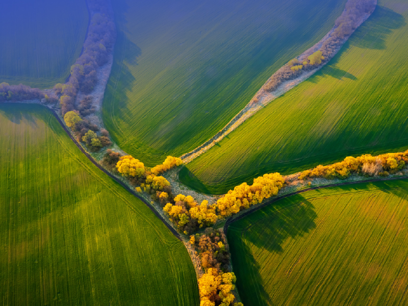 Land plots